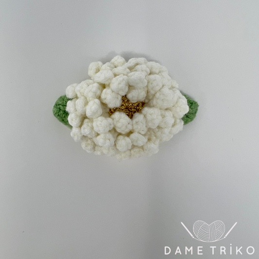 Fleur d'oiseau du paradis