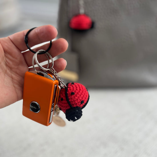 ladybug keychain
