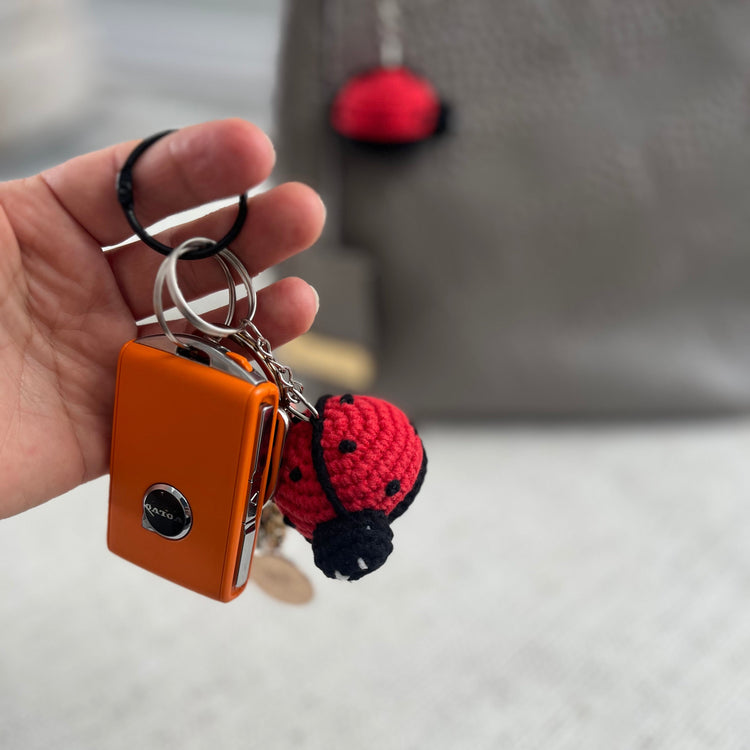 ladybug keychain